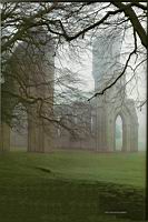 Abbaye de Glastonbury